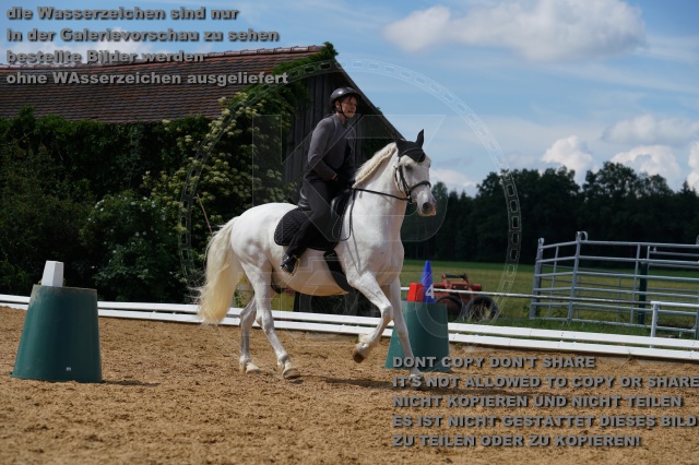 s_K3F04749.JPG